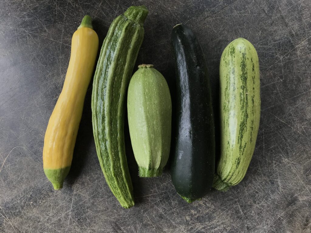 Top view of different kinds of zucchini, ready to be prepped.